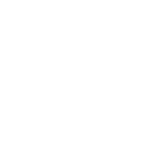 Step 4 Icon